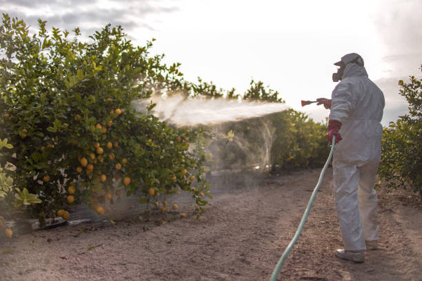 Best Bed Bug Extermination  in Ladysmith, WI