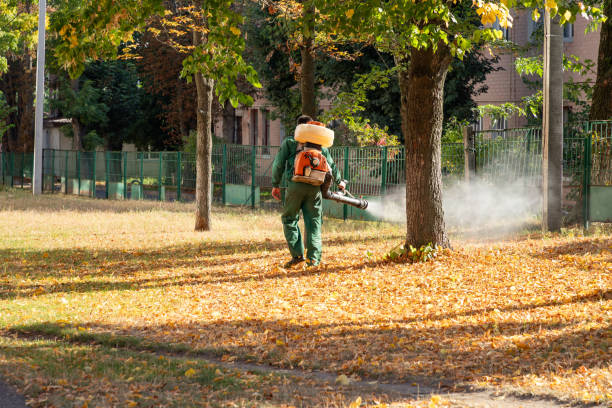Best Affordable Pest Control Services  in Ladysmith, WI