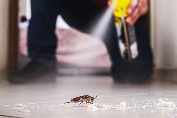 Ladysmith, WI Pest Control Company